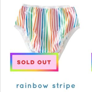 Rainbow Stripe Women's Panties NWT 3X